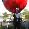 paulanderson713